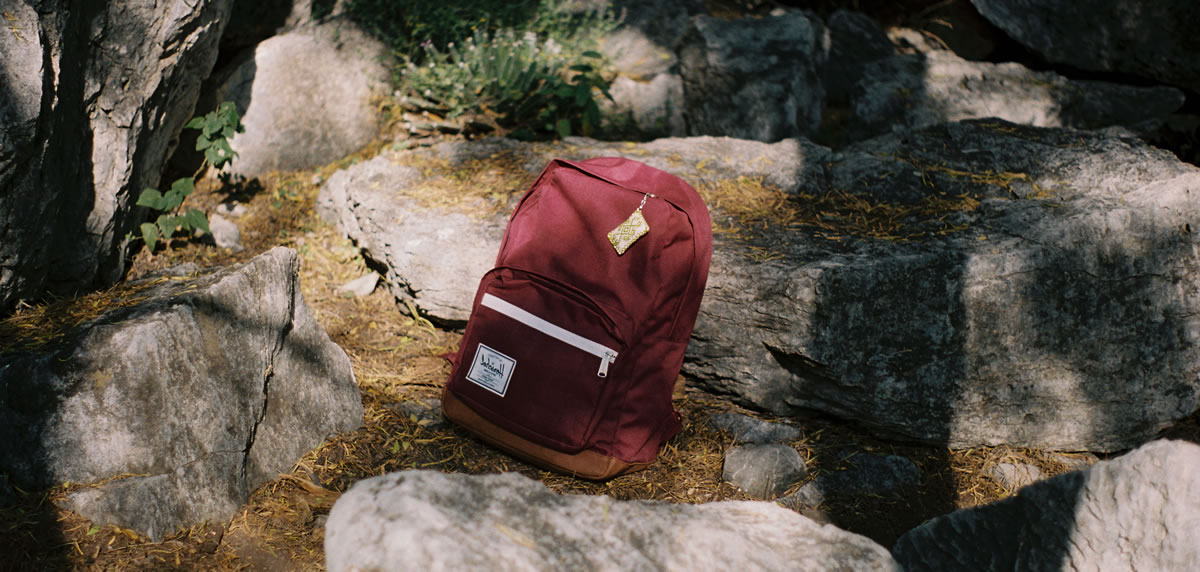 laptop backpack pink red